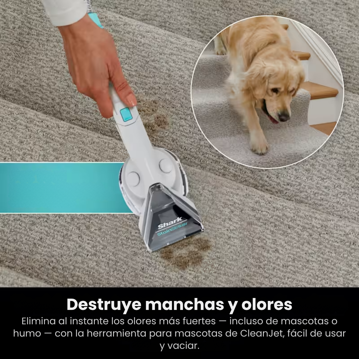 Aspiradora CleanJet - Libera tu espacio de olores y machas